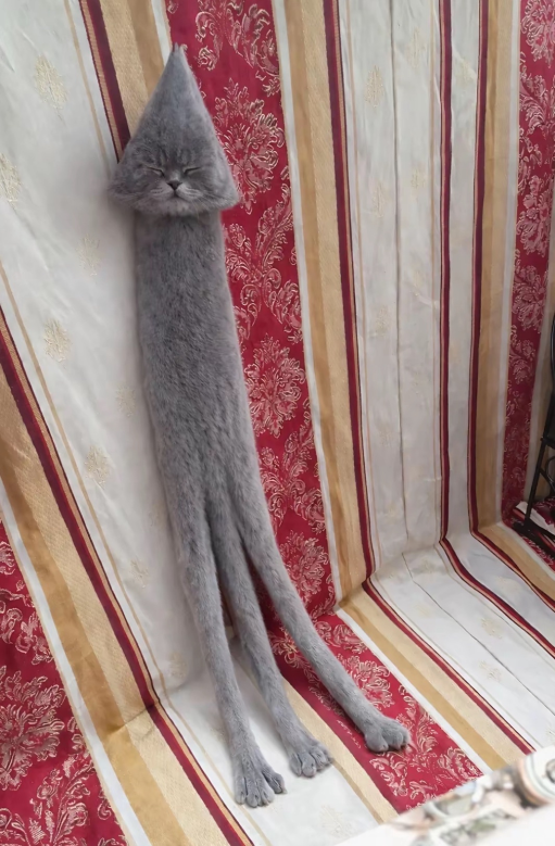 FurryFollowing tweet media