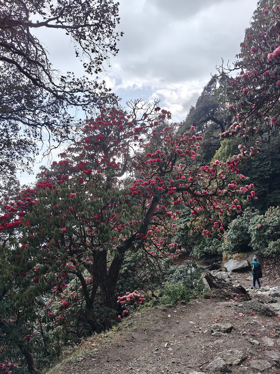 Think In Points tweet media