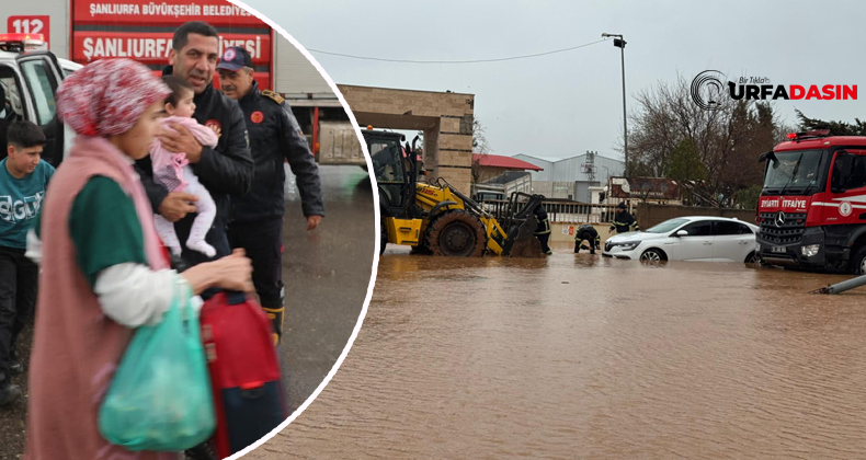 Urfadasın tweet media