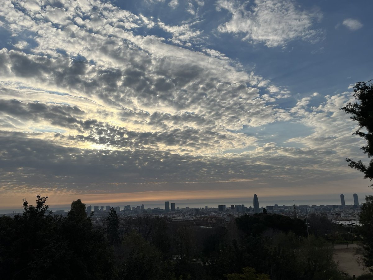 Alter ego Jordi tweet media