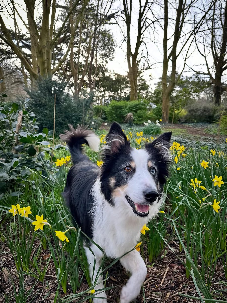 Colum Cronin tweet media