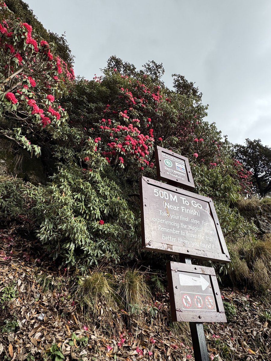 Think In Points tweet media