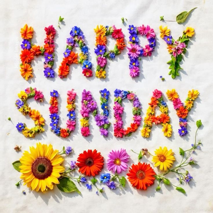 violetviolet tweet media