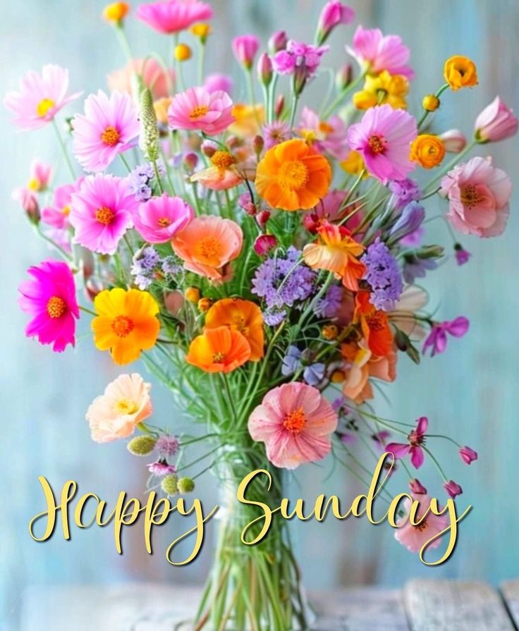 violetviolet tweet media