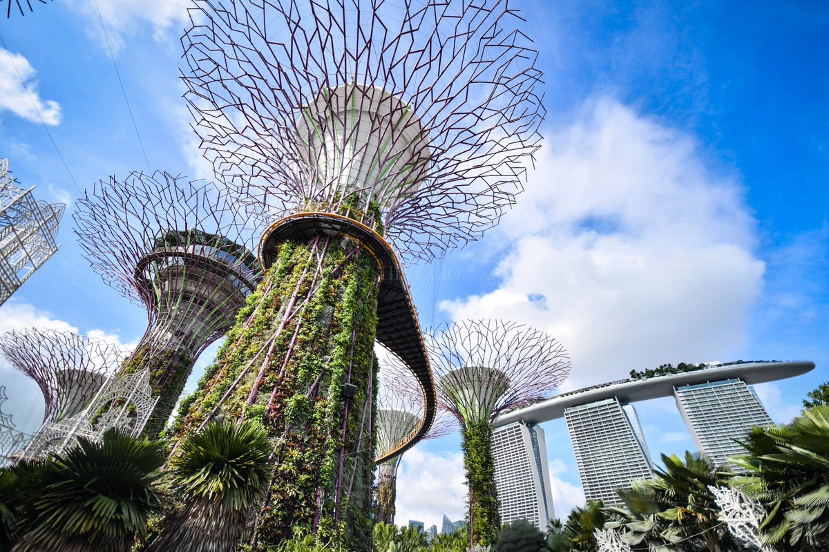 SHINTARO【ﾃｰﾏﾊﾟｰｸ垢🎢】 tweet media