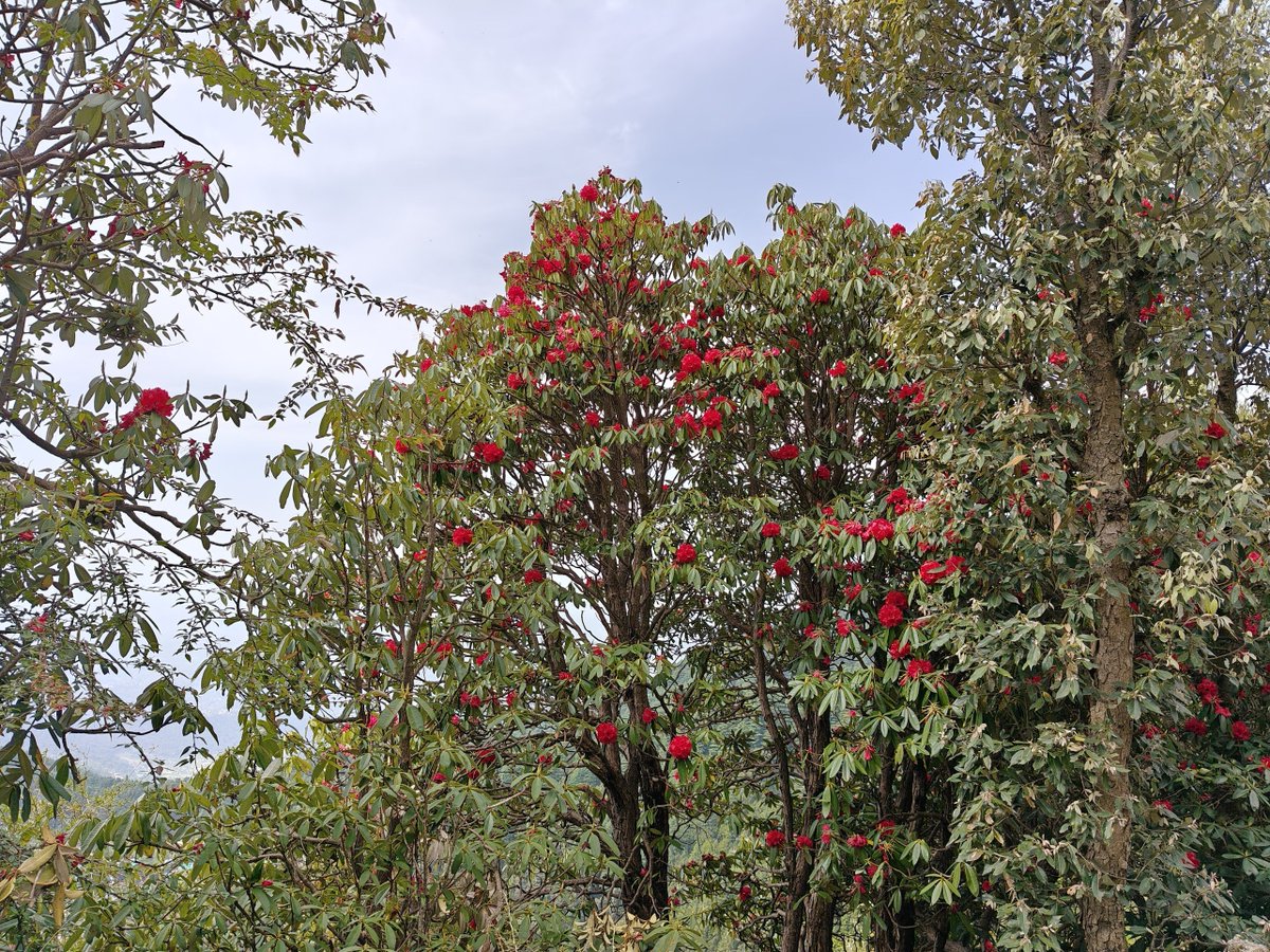 Think In Points tweet media