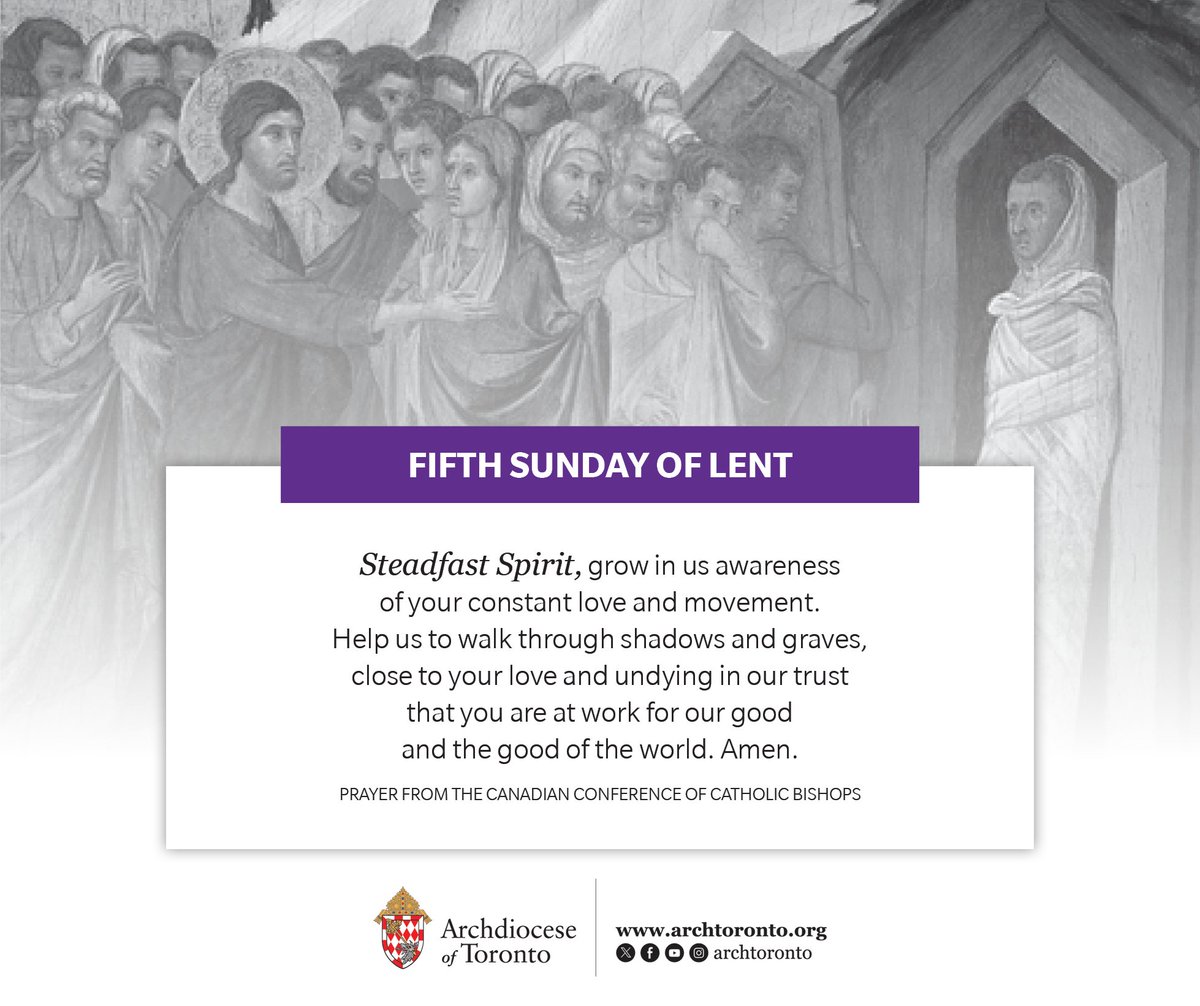 Archdiocese of Toronto tweet media