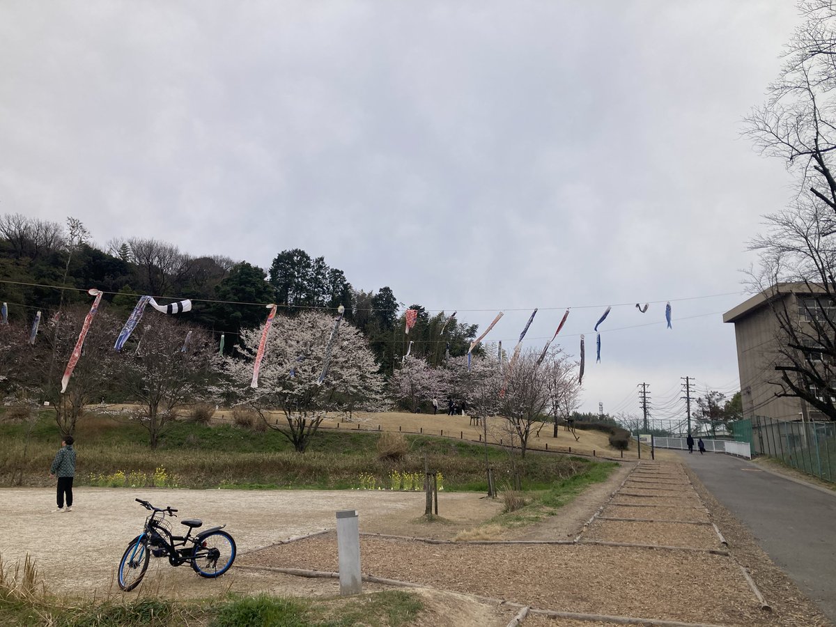 teruteru tweet media