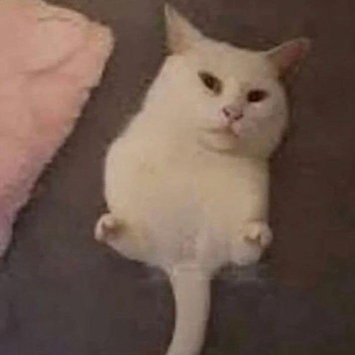 valentine | 𑣲 firefly tweet media