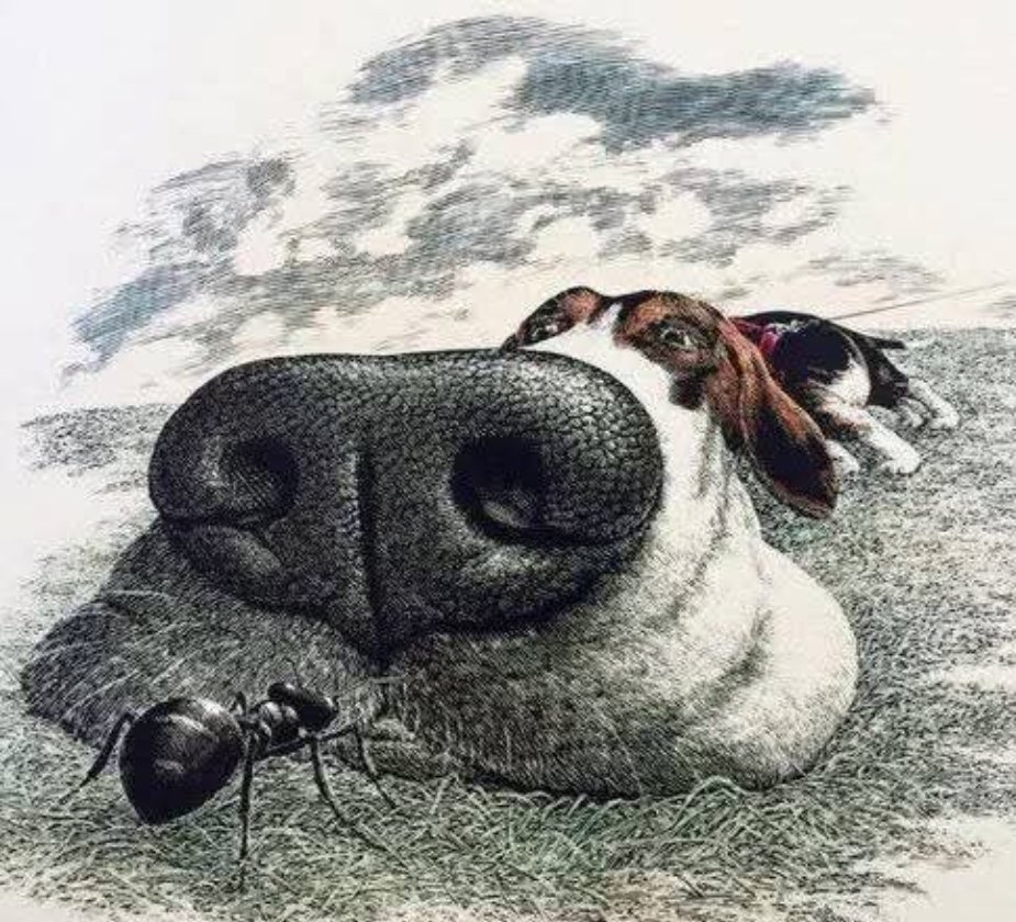 Patrick P tweet media