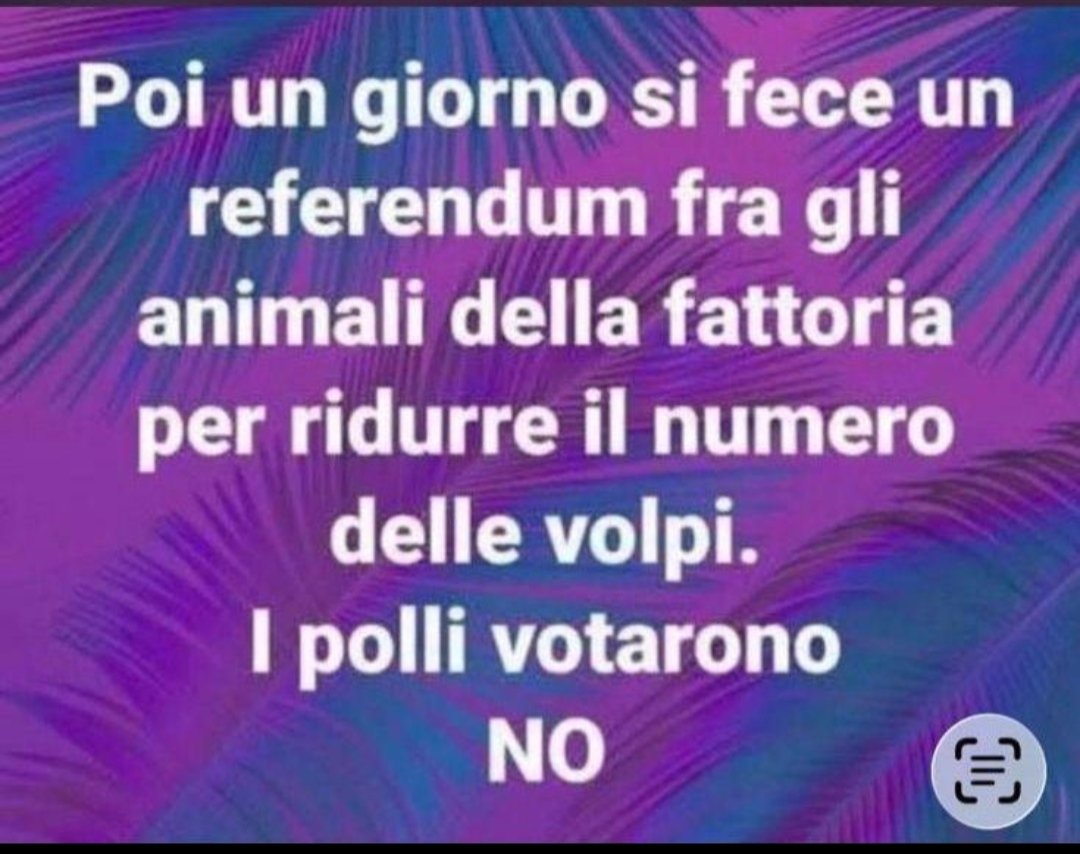 LUCIFERO1960 tweet media