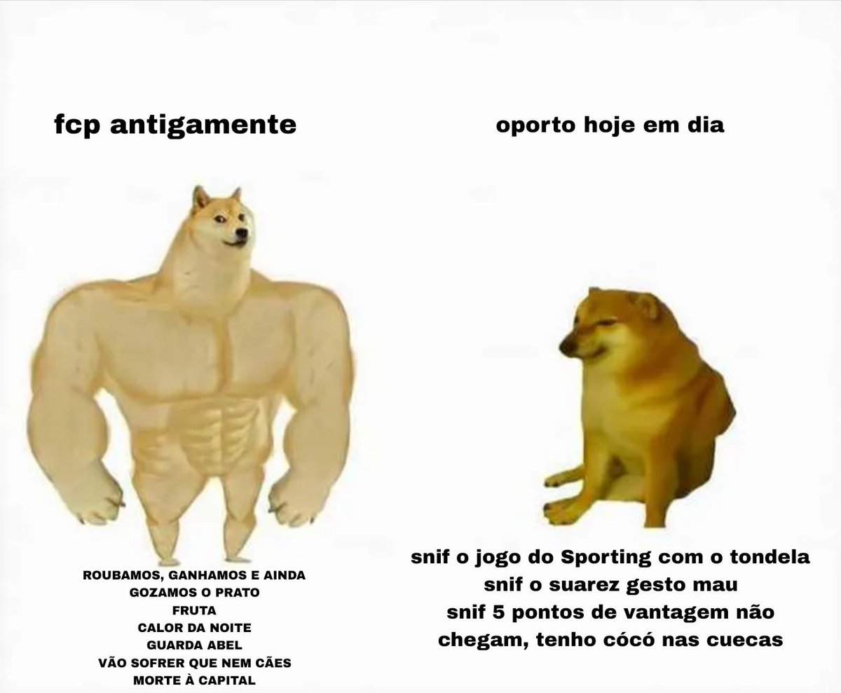 Gonçalo Bustorff tweet media