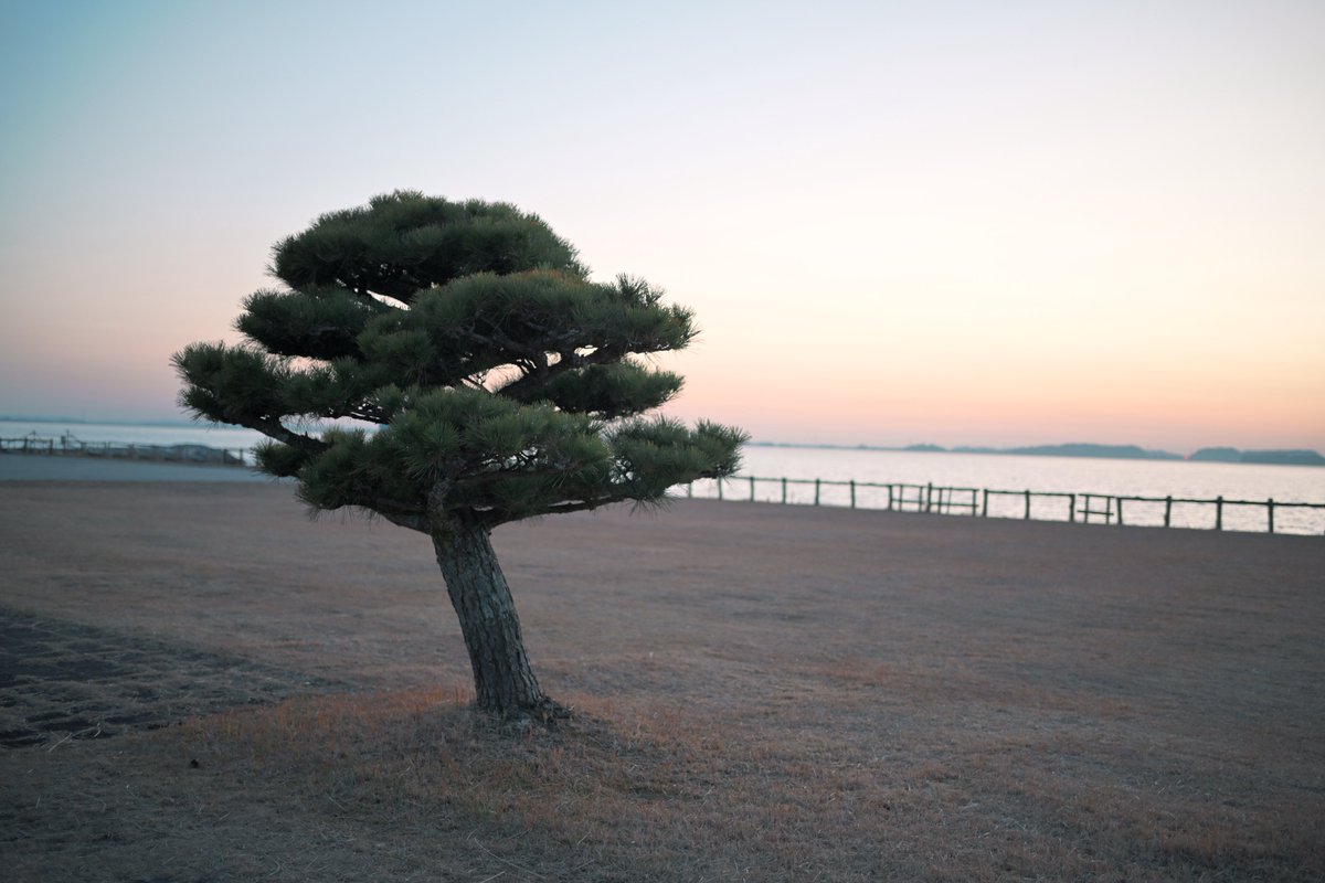 y.📸 (@pic_album00) on Twitter photo 