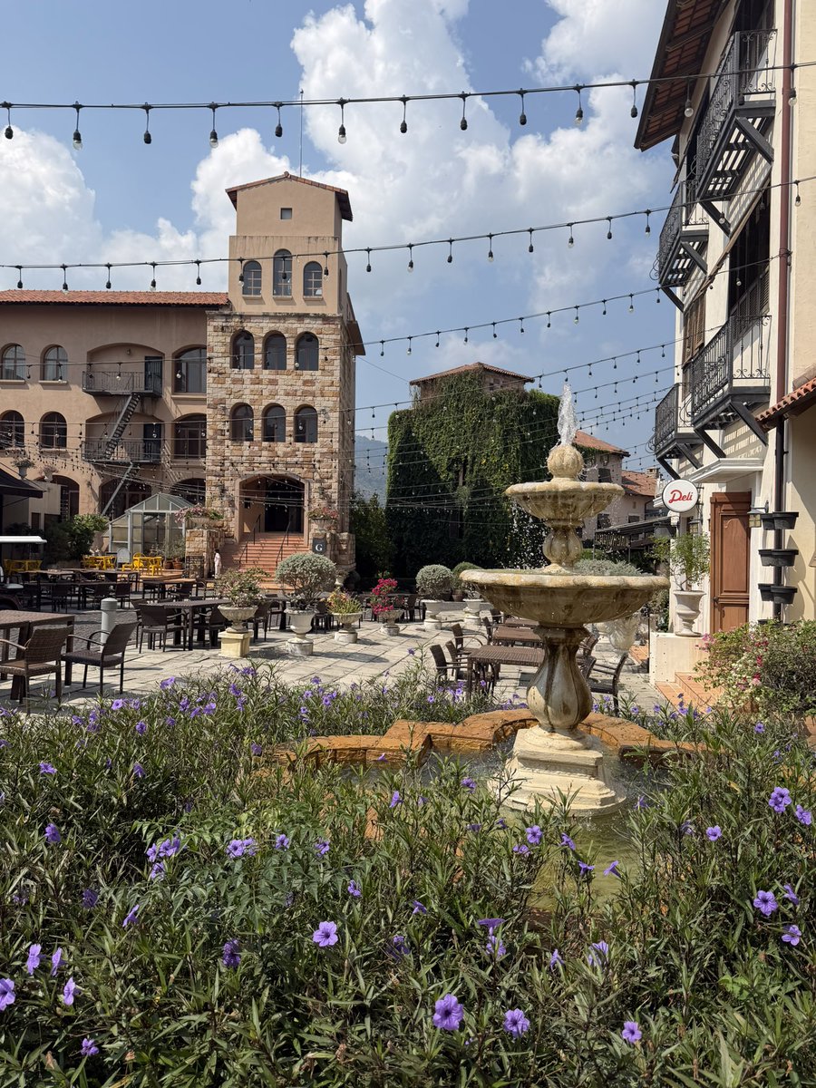 jollybibi♡˚ ༘🧤🛼⋆ tweet media