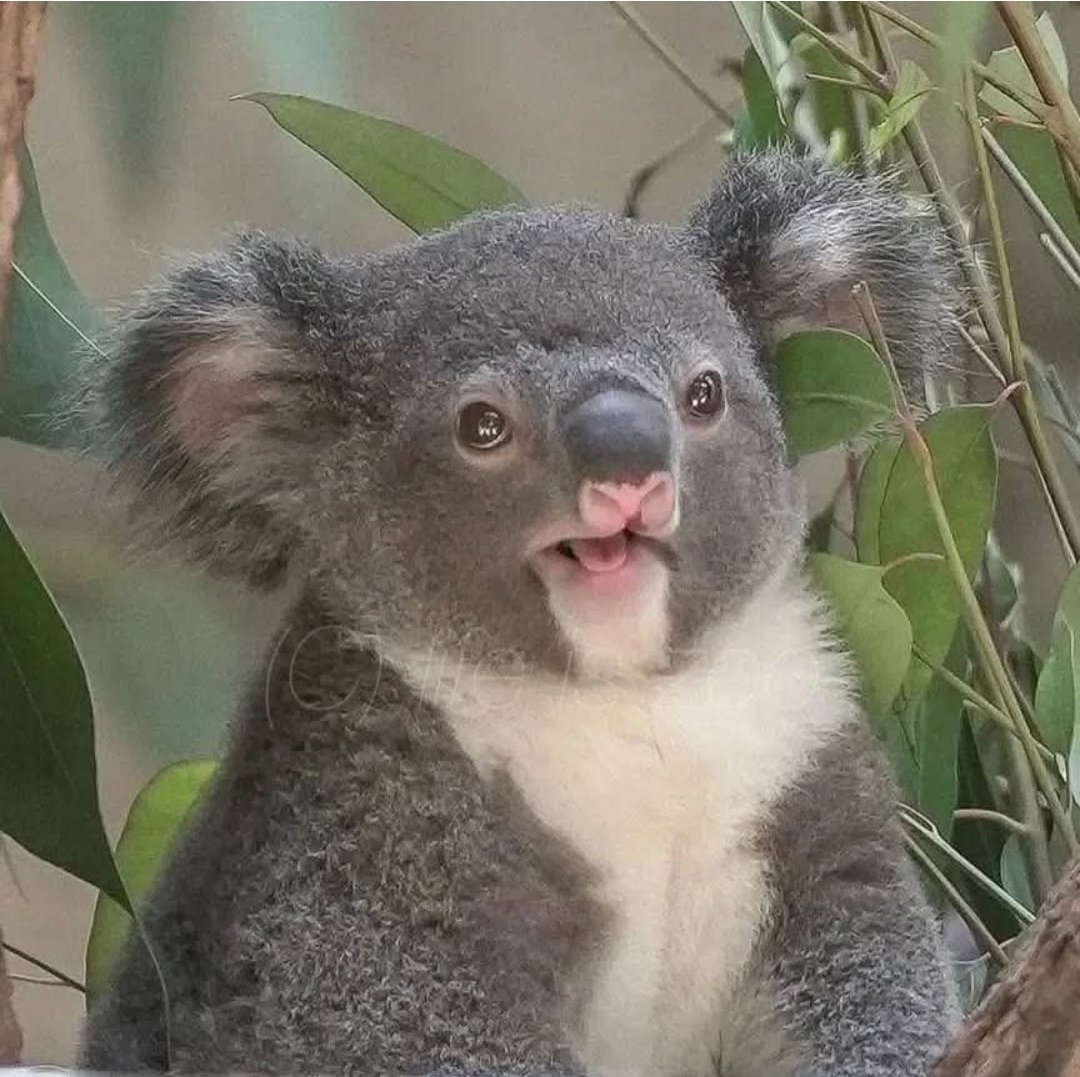 Patrick P tweet media