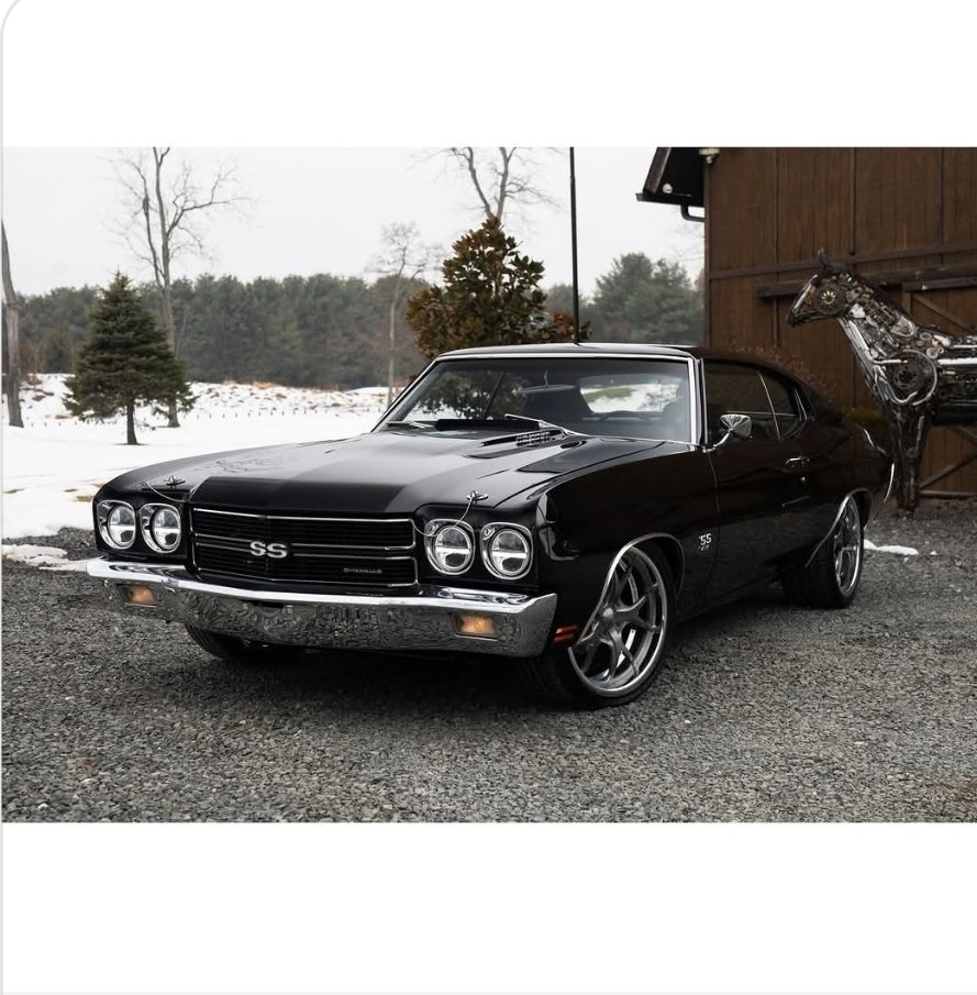 Patrick P tweet media