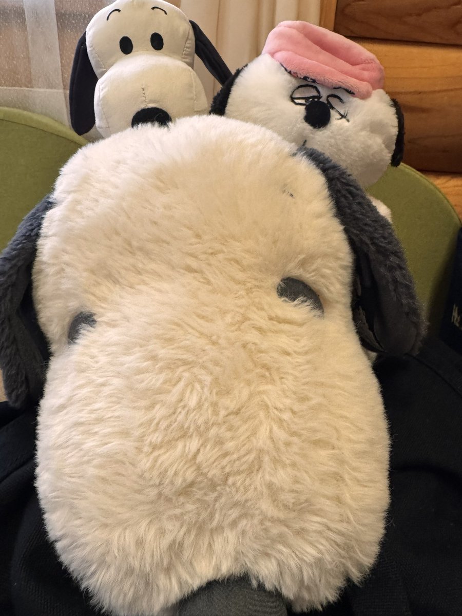 ふなちぃ💙 tweet media