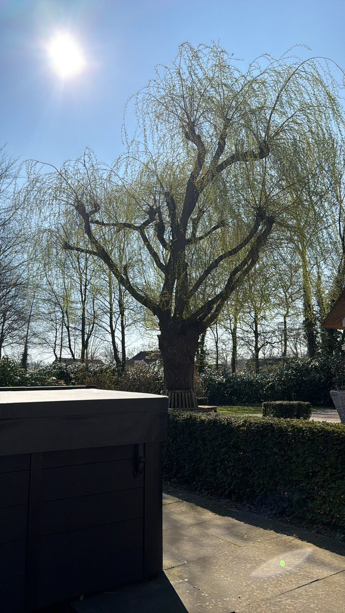 Lekker uit de wind genieten van het zonnetje ☀️