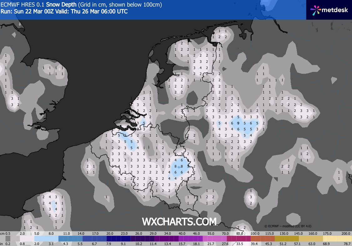 ➡️ Robert de Vries tweet media