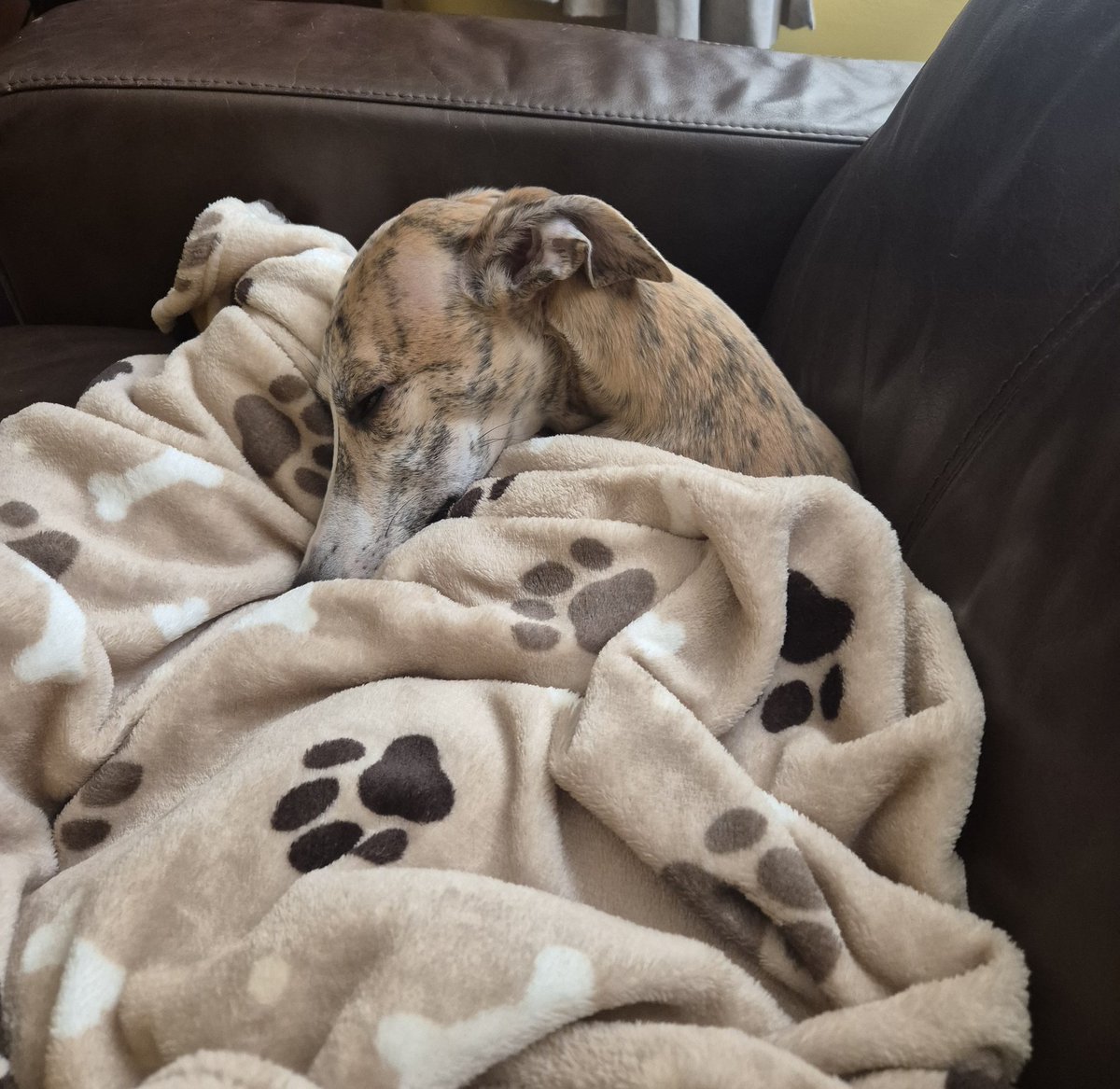 Michelle Smith tweet media