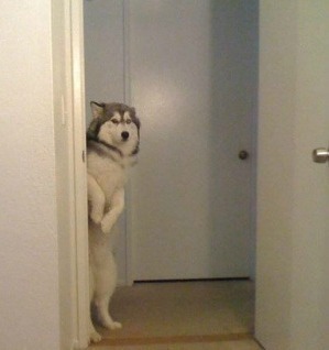 ❄️ㅌㅊㅅ캐러멜 마키아토 tweet media