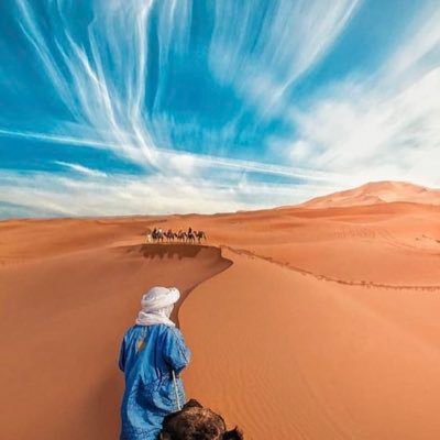 لن يعود...
الشخص الغاضب يعود دوما
لكن الشخص الذي غادر بابتسامة لن يعود مرة أخرى.
ادريس البا