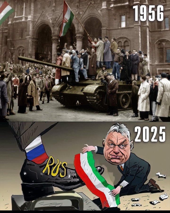 Sjoerd Nolf tweet media