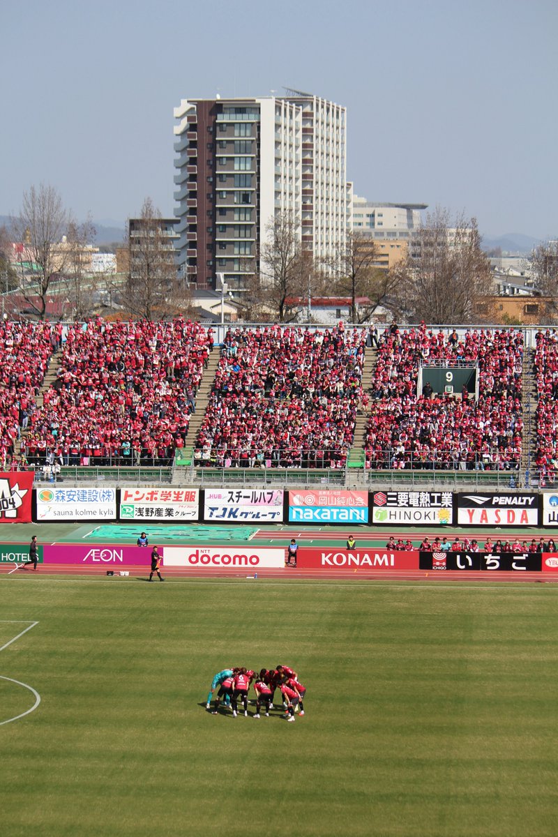 ぷりん tweet media