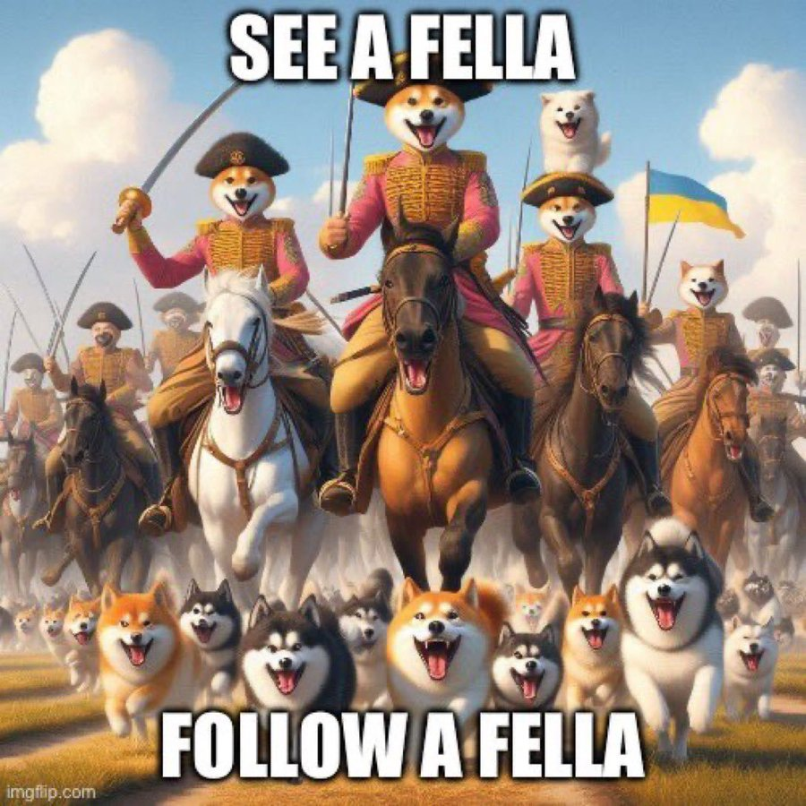 Cat Lady Fella 🇺🇸🇺🇦🇬🇧🏴󠁧󠁢󠁷󠁬󠁳󠁿🇮🇱🦩🐈 tweet media