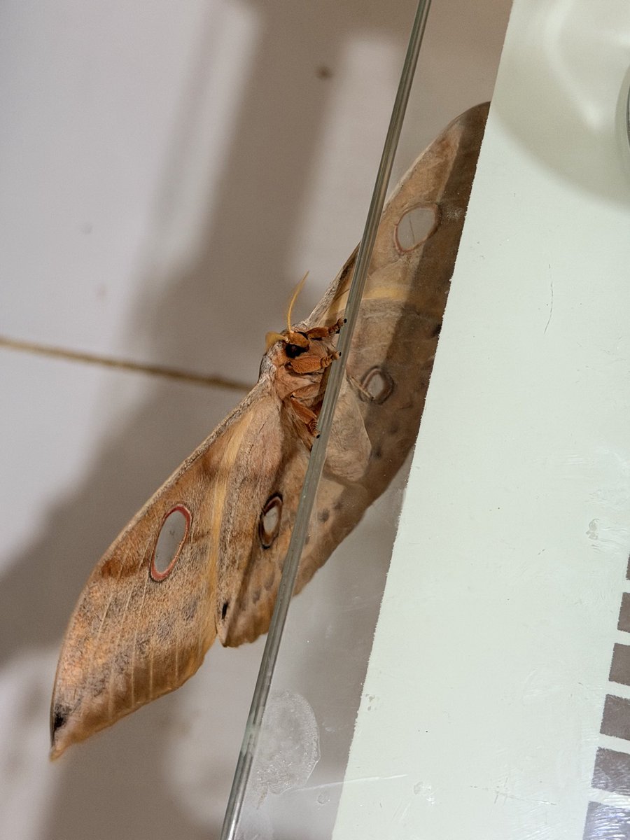 🩷💚🩷💚🩷💚 tweet media