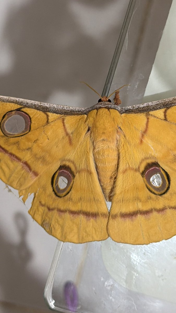 🩷💚🩷💚🩷💚 tweet media