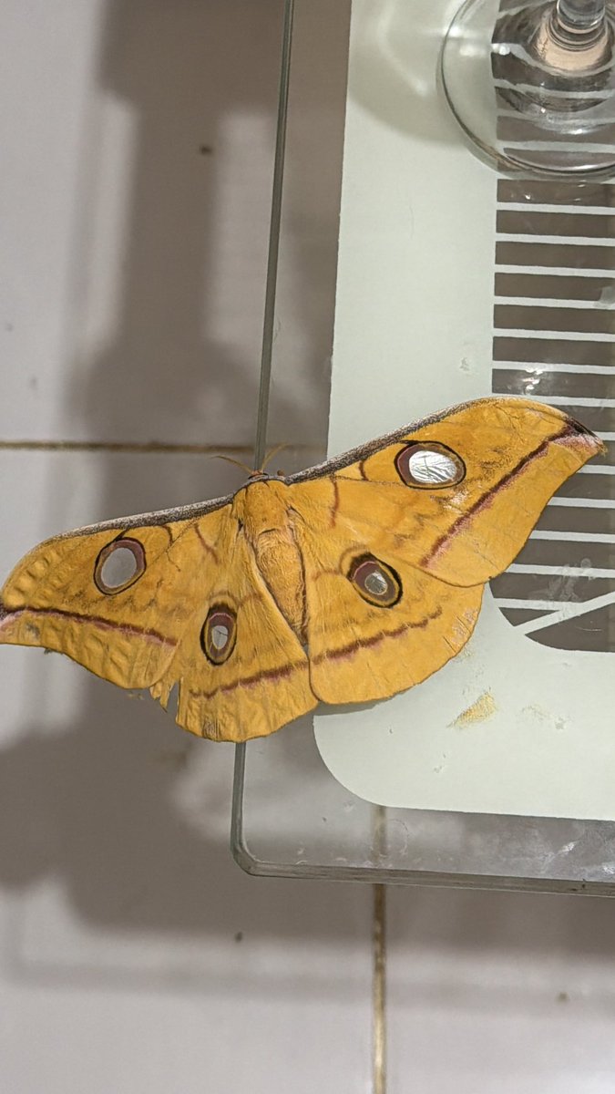 🩷💚🩷💚🩷💚 tweet media