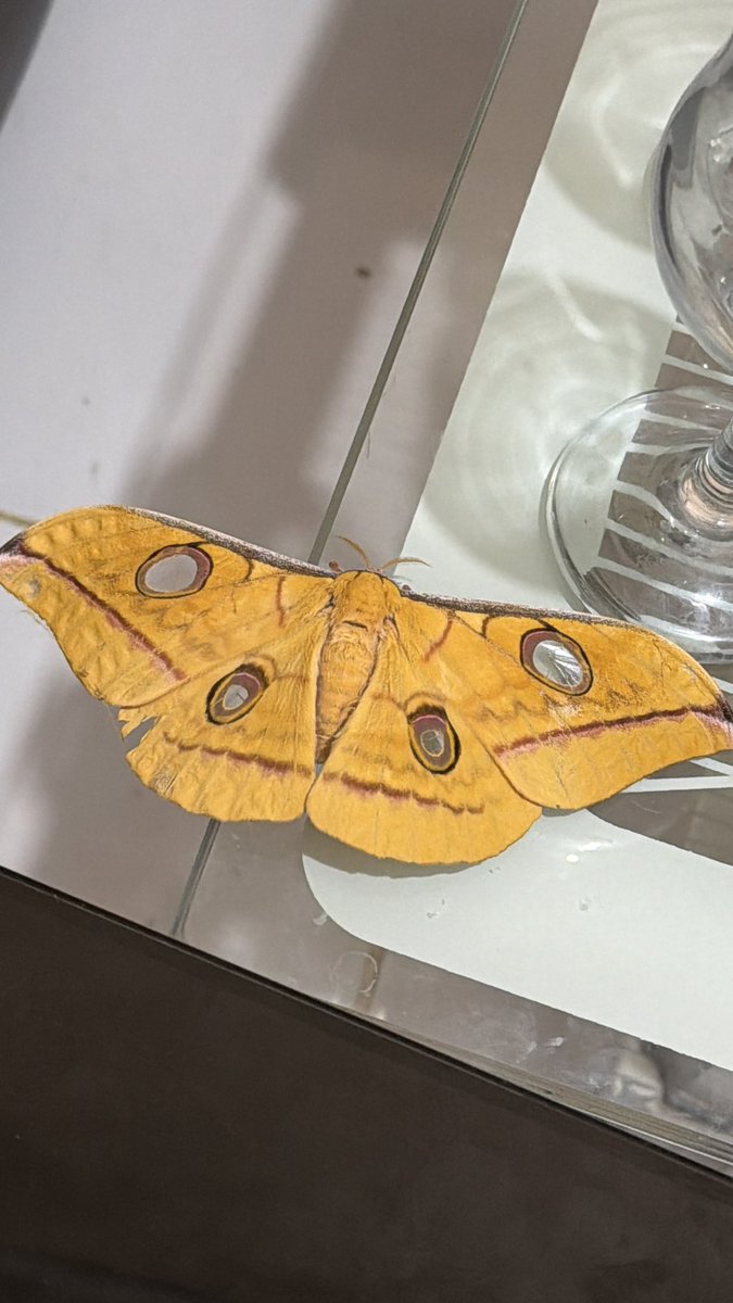 🩷💚🩷💚🩷💚 tweet media