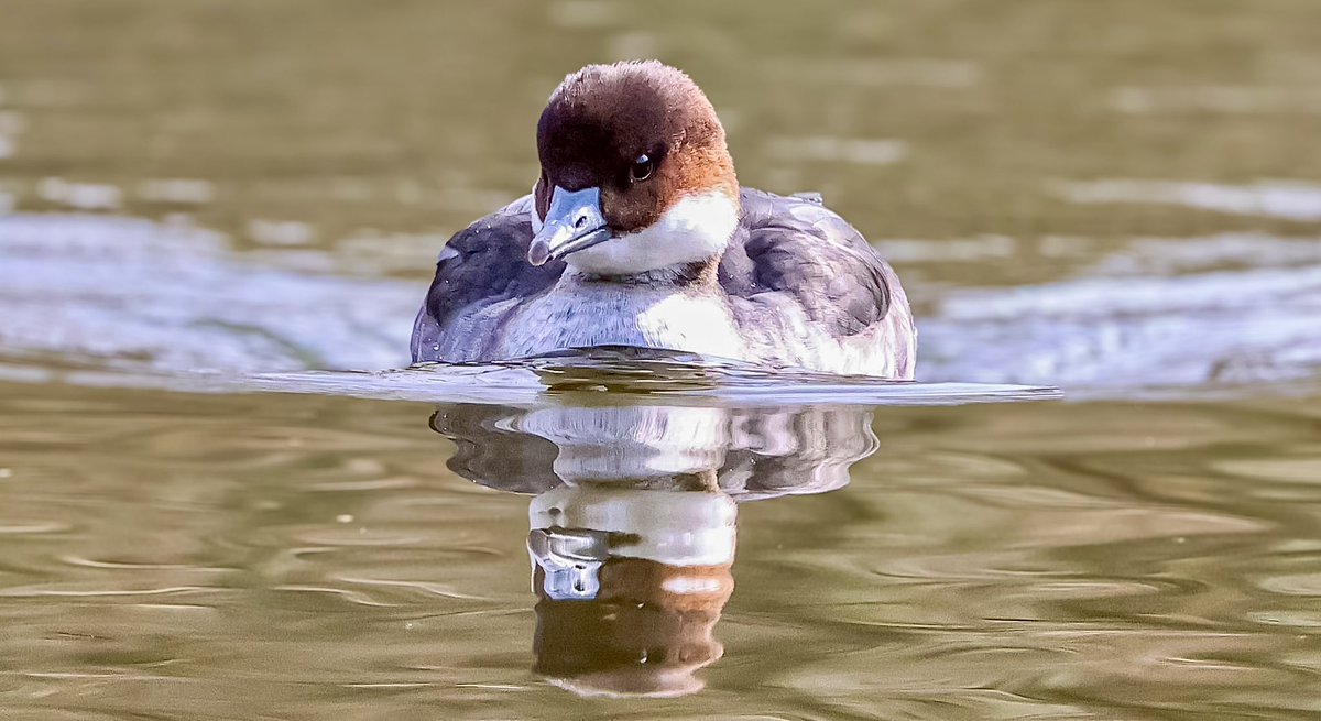 Marc Hunt tweet media