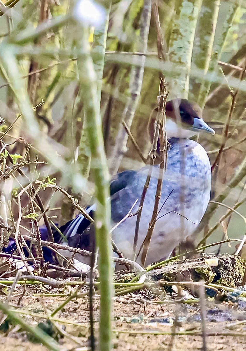 Marc Hunt tweet media