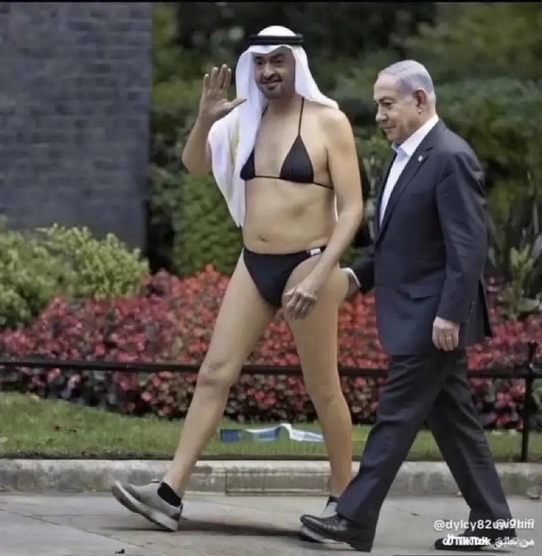 TheDesiEuropean's tweet photo. @SSGRawalpindi Teri ami k yar se pocho Israel or America Ka Kitna nuqsan hua UAE me ? https://t.co/5P6Rs6eyYF