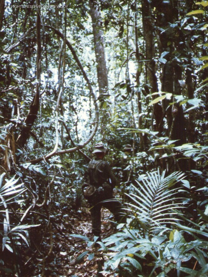 Το ανάγλυφο του Ιράν δεν έχει πυκνή ζούγκλα τριπλής καθ' ύψος κόμης (triple-canopy jungle) αλλά είναι πετρώδες και ορεινό. Οπότε σε περίπτωση χερσαίας εισβολής από τους αμερικανο- εβραίουςτο ιστορικό ανάλογο δεν είναι το Βιετνάμ αλλά η Κορέα που είναι χειρότερο...