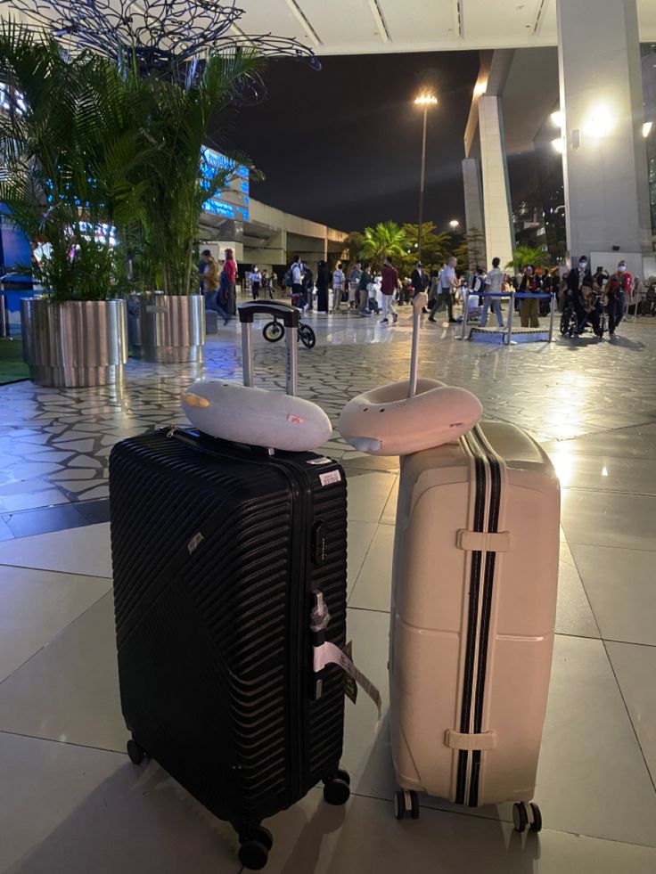 ๐๐ซ๐ฎ๐ฆโพ tweet media