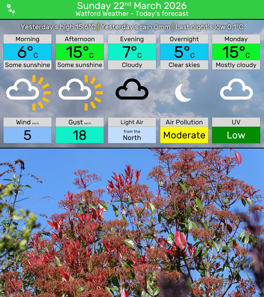 John Bowe tweet media