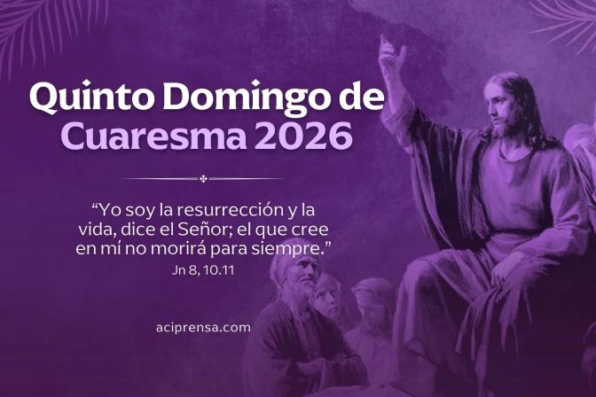 P.Hugo Tagle tweet media