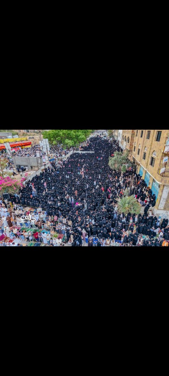 camel rider tweet media