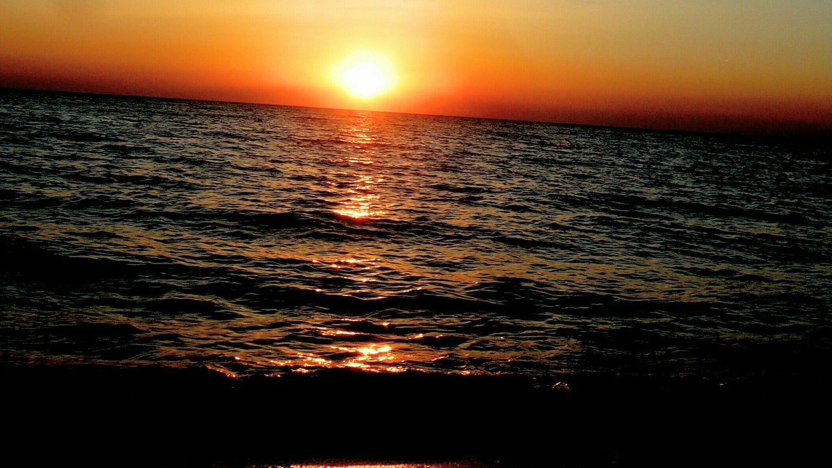 c.e.⚓📸👋 tweet media