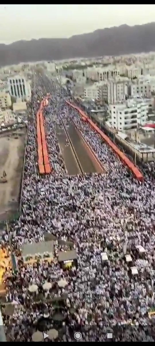 camel rider tweet media