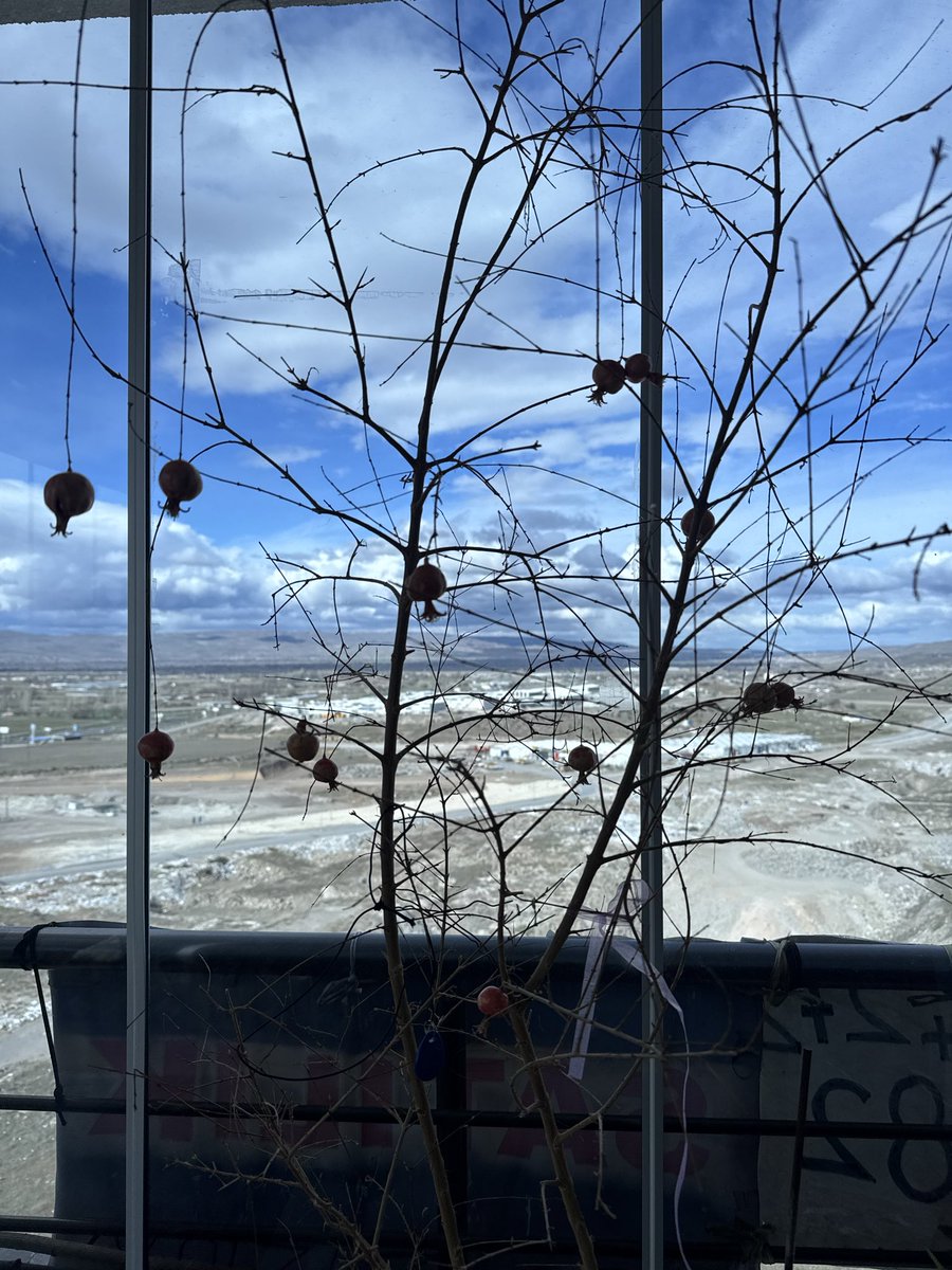 pinarkocccc's tweet image. #ildem
#kayseri