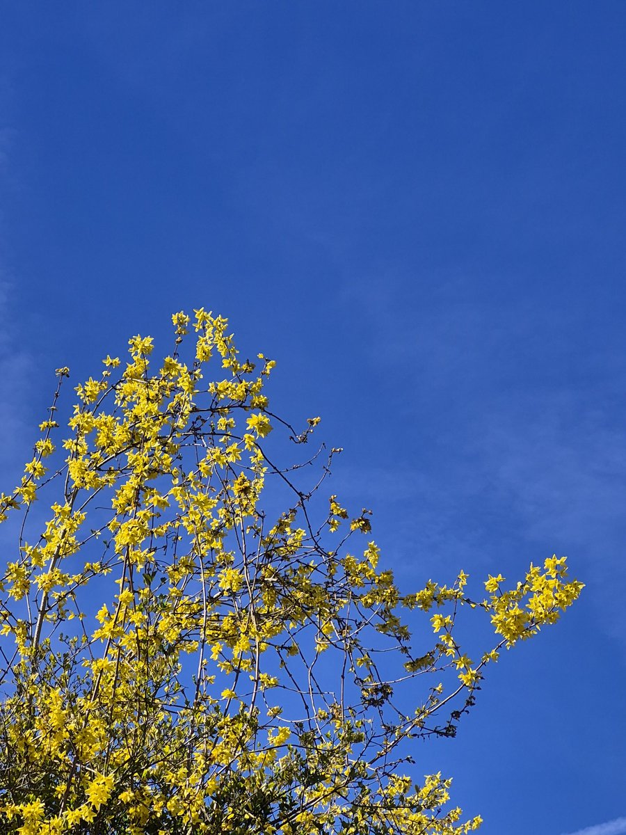 ✨️✨️✨️✨️Hayley ✨️✨️✨️✨️ tweet media