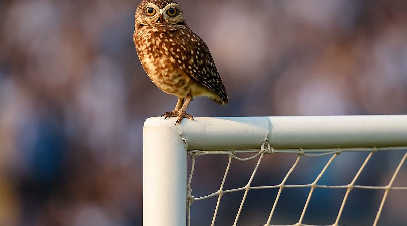 Lucas B. 🏁 tweet media