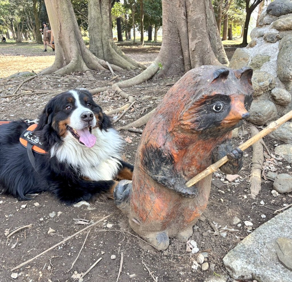 ここあ tweet media