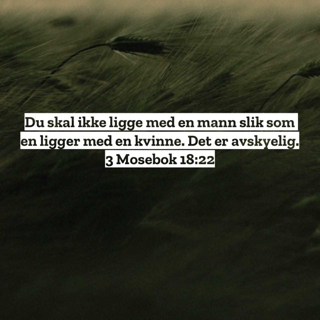 Johan Slåttavik tweet media