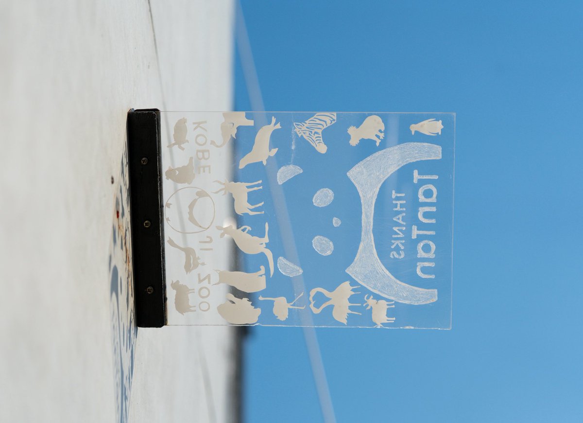 昨日は王子動物園開園75周年記念講演会へ

前身の諏訪山動物園から現在までの歴史を知ることが出来、講演を通じて動物園が抱える課題や未来について改めて考えることが出来た1日となりました

📸2026.3.21

#王子動物園 
#アジアゾウ
#ズゼ
#かくれタンタン