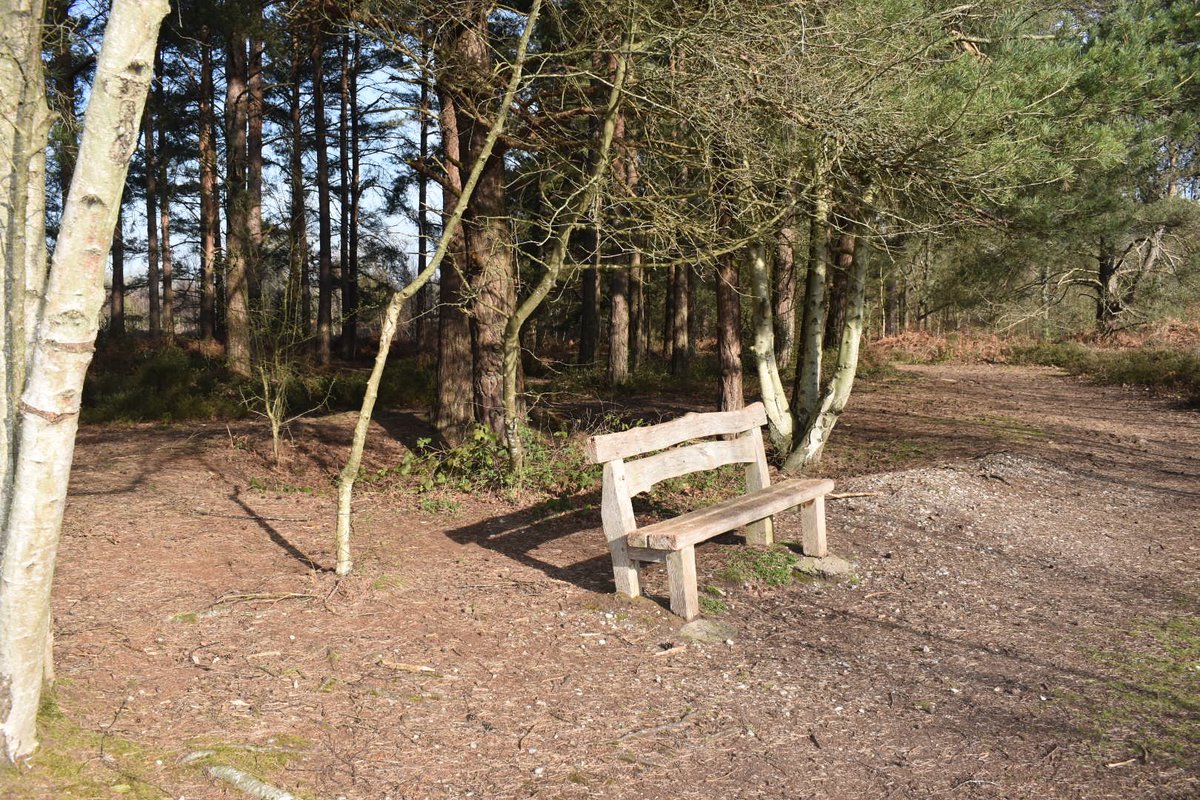 Kevin Browning 🐝 tweet media